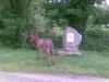 01062008_001_.jpg